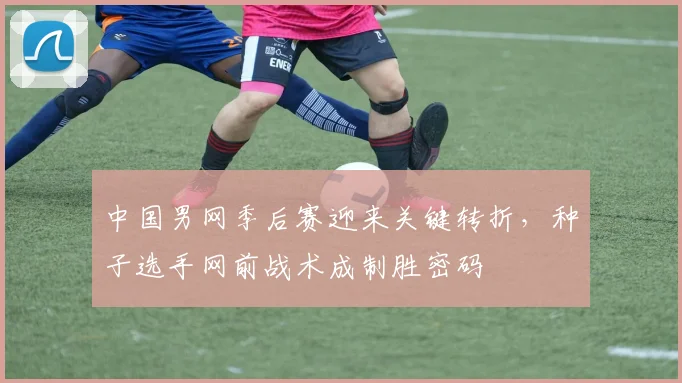 中国男网季后赛迎来关键转折,种子选手网前战术成制胜密码